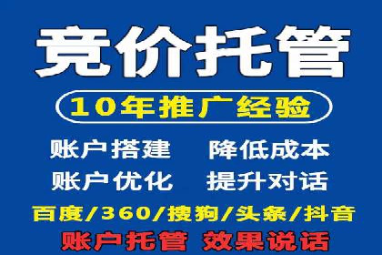 案例分析：SEM广告助力电商行业突破